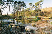 River West Dart Stepping Stones