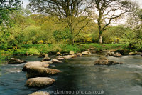 Stepping stones West Dart, Dartmeet