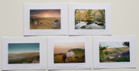 Purchase Greetings Cards Pack of Five Click Here