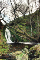 Shavercombe Falls