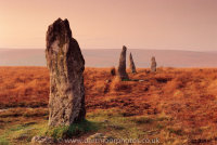 Stalldown Stone Row Dusk