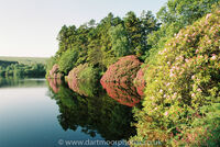 Venford Reservoir
