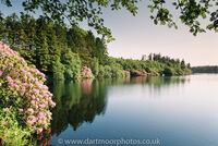Venford Reservoir