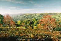 Widecombe-in-the Moor