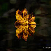 Extra extra time home