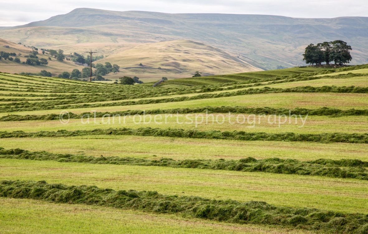 TOWARDS MALLERSTANG EDGE