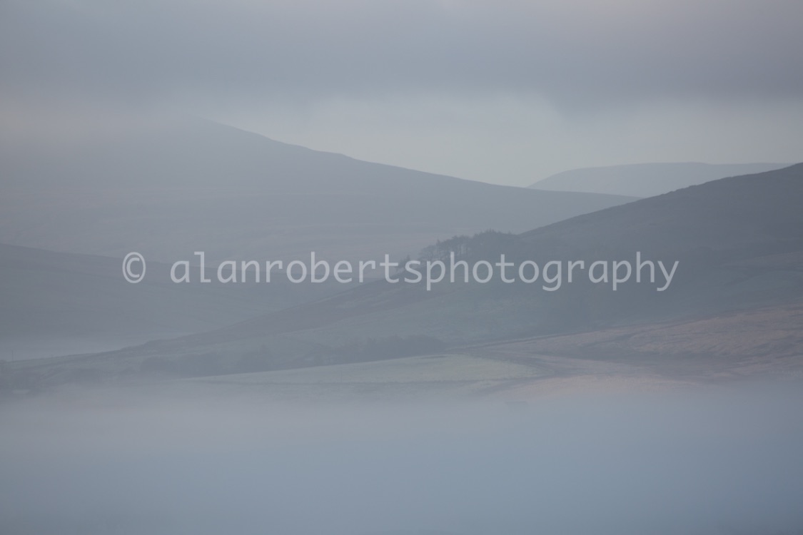 MISTY HOWGILLS