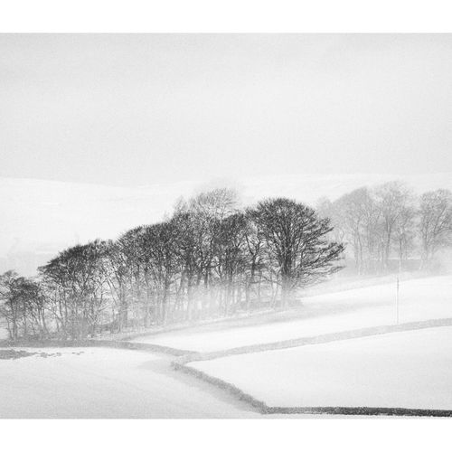 IMG 7847-Edit