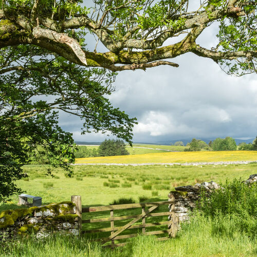 JULY - GATE INTO SUMMER