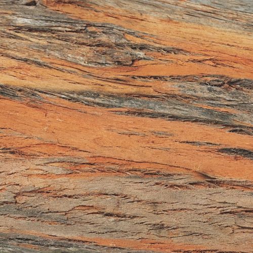 TEXTURES OF BARK ON A FALLEN TREE