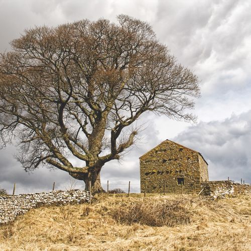 NOVEMBER - KELLETH ROAD