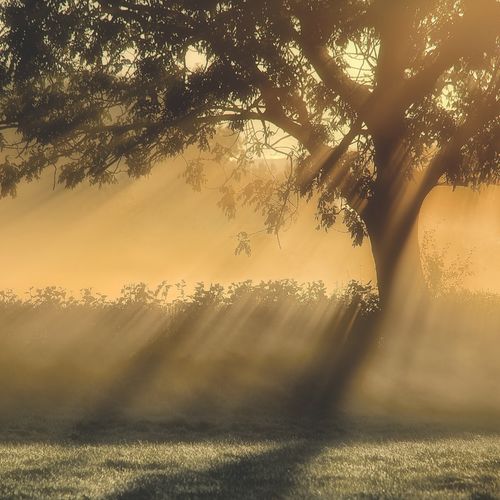 OCTOBER - EARLY MORNING NEAR BROUGH