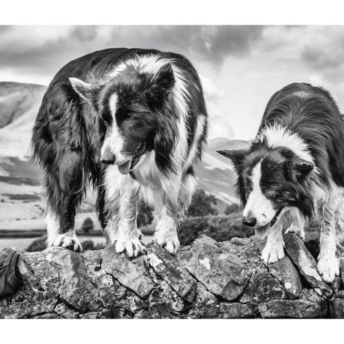 SEDBERGH LANDSCAPE 015 September 02, 20173J8A1187 5472 x 3648-Edit