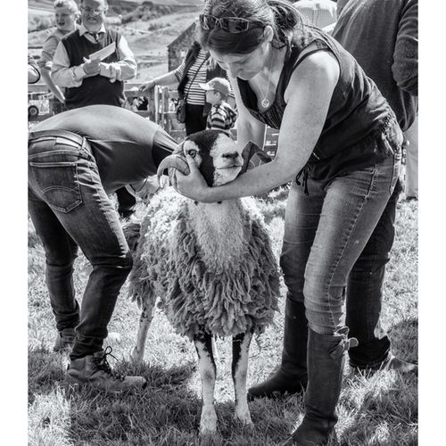 STAINMORE SHOW 2017 062 June 03, 20173J8A0635 3648 x 5472-Edit