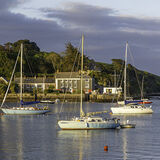 Evening Light - Falmouth