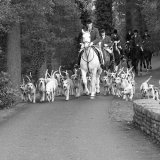 Monmouthshire Hunt