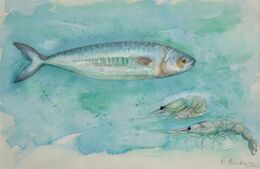 MACKEREL and PRAWNS