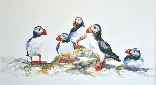 Puffin Party (large)
