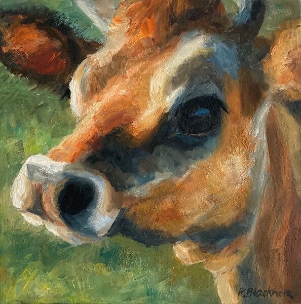 Cow Portrait 3