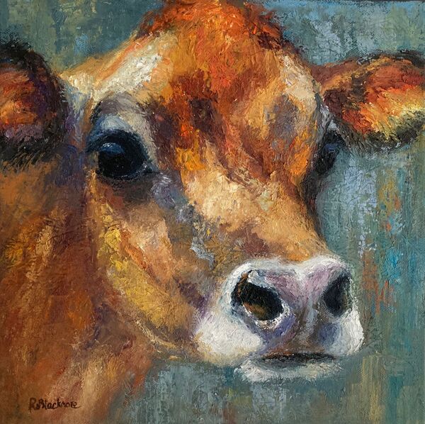 Cow Portrait 1