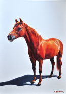 Red SOLD