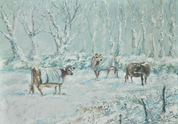 MIDWINTER SOLD