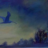 Curlew at Dusk