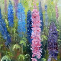 Delphiniums - 2019