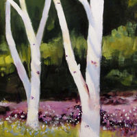 Himalayan Birches