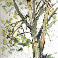 Littleport Tree - 2013