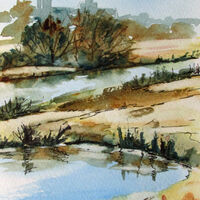 River Gt Ouse - 2021