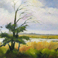 Windswept Tree