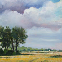 Windy Fen