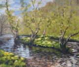 Dovedale, Spring (38x45)