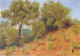 Southern France (21x30)