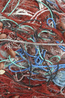 Fishing nets