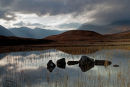 Moody Rannoch