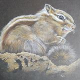 Chipmunk