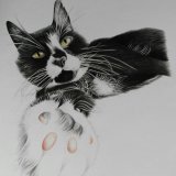 Chester NFS