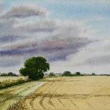Before the Harvest. SOLD