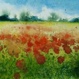 Poppy Field.