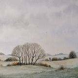 A Stroll through the Fields