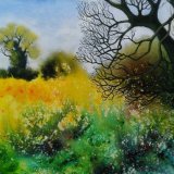 At the Edge of the Field 2