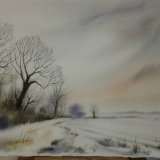Big Hedgerow, winter.