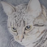 Widget SOLD