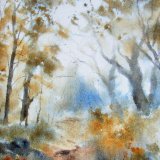 Autumn Woodland. SOLD