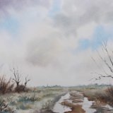 A Walk by the Hedge