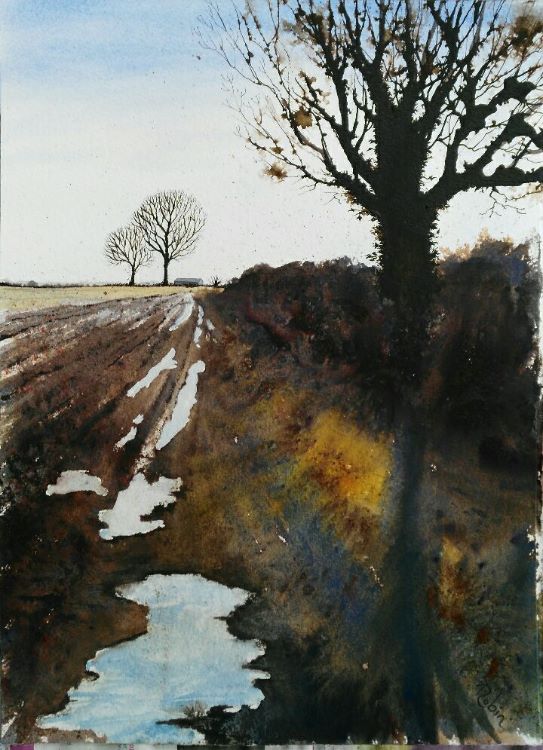 Field Edge Along Mareham Lane