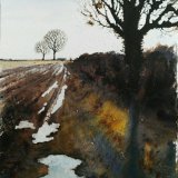 Field Edge Along Mareham Lane