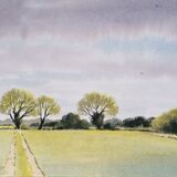 Fields near Evedon